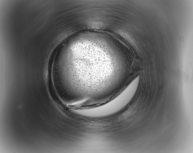 X0000088360630200706051024