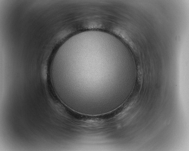 X0000088360631200706051024