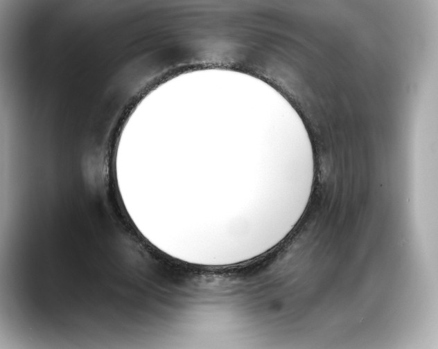 X0000088360632200706051024