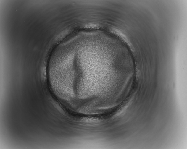 X0000088360633200706051024