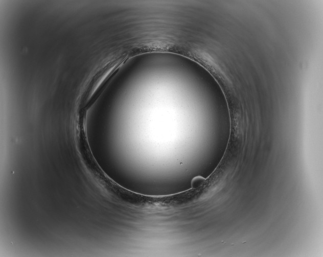 X0000088360634200706051024