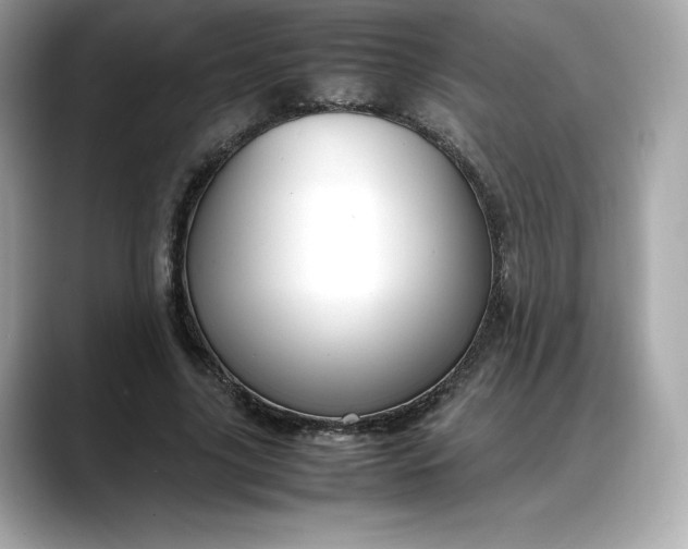 X0000088360635200706051024