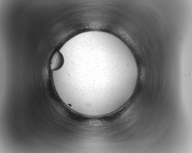 X0000088360636200706051024