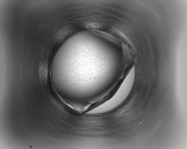 X0000088360637200706051024