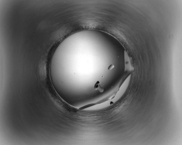 X0000088360638200706051024