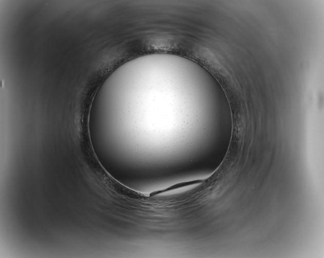 X0000088360639200706051024