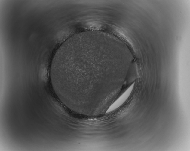 X0000088360641200706051024