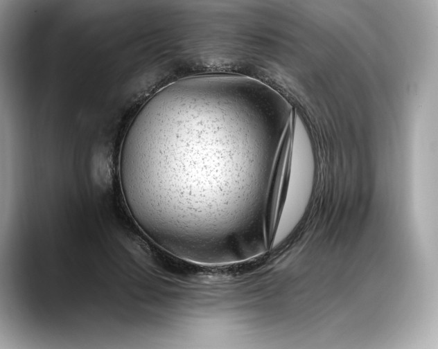 X0000088360644200706051024