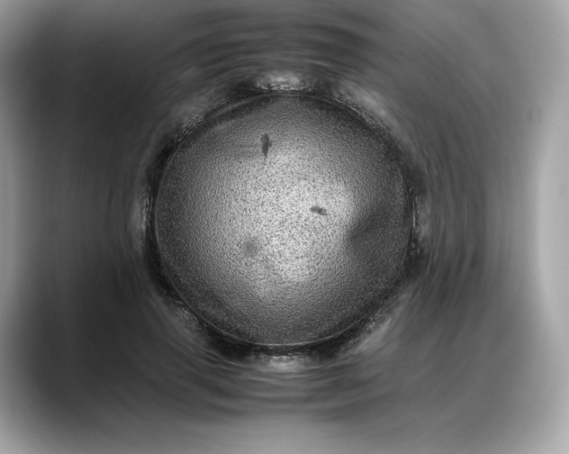 X0000088360645200706051024