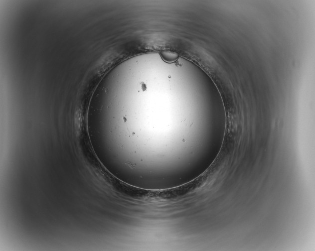 X0000088360648200706051024