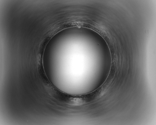 X0000088360649200706051024