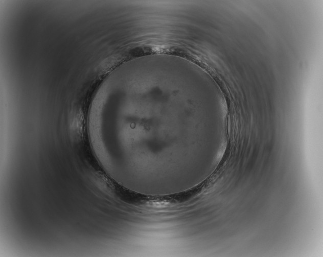 X0000088360650200706051024