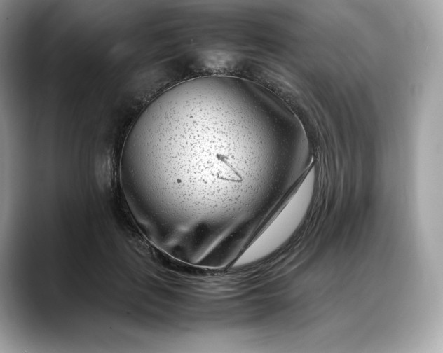 X0000088360651200706051024