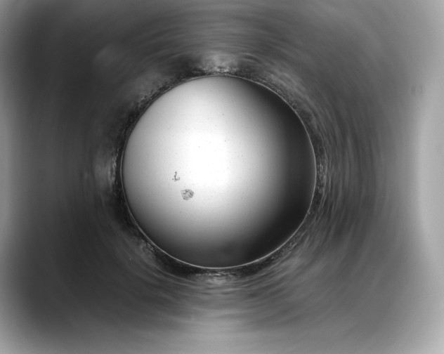 X0000088360652200706051024