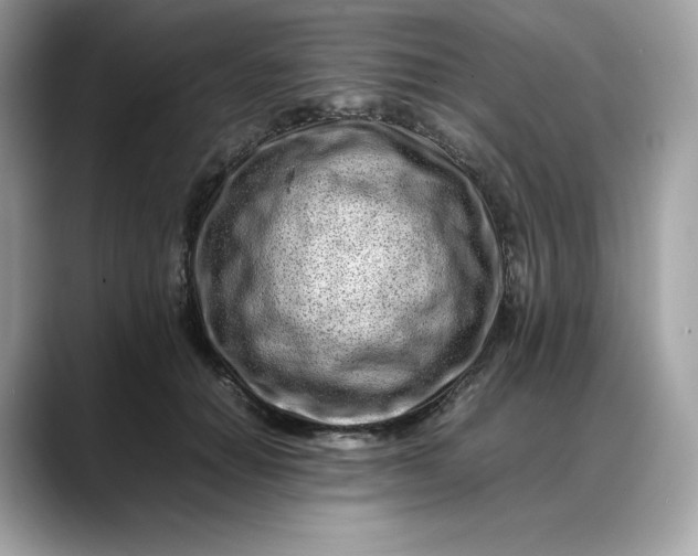 X0000088360654200706051024