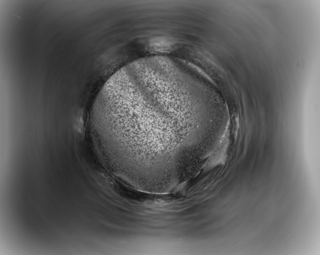 X0000088360655200706051024