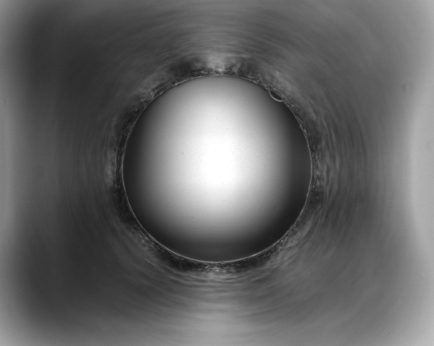 X0000088360656200706051024