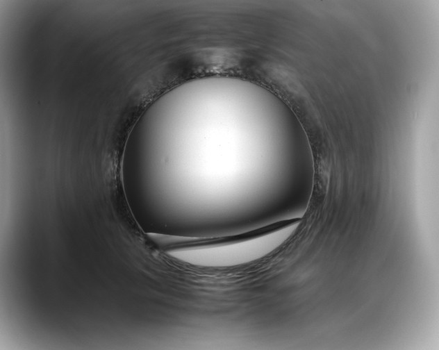 X0000088360657200706051024