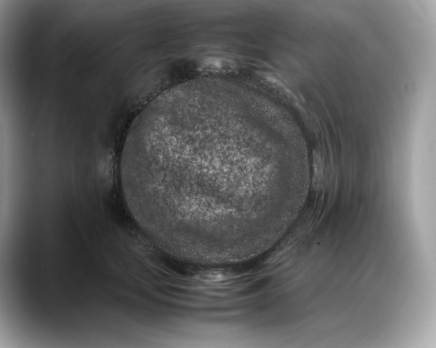 X0000088360659200706051024