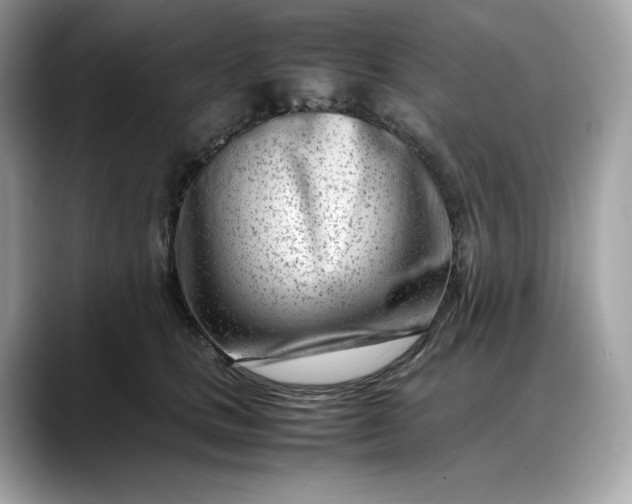 X0000088360661200706051024