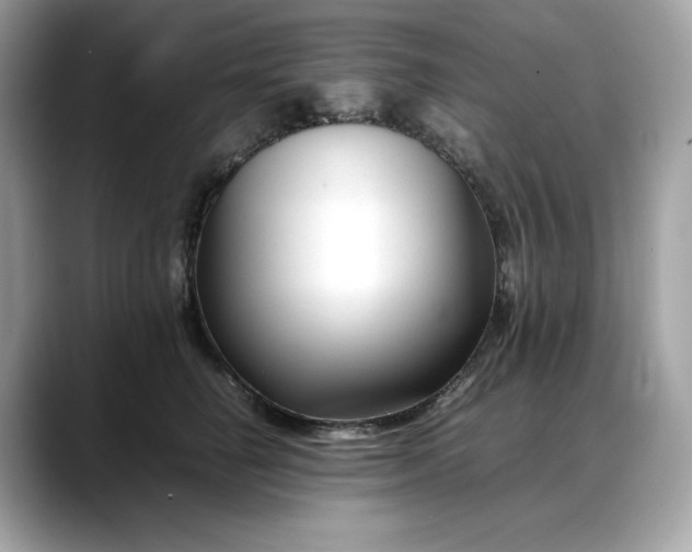 X0000088360662200706051024