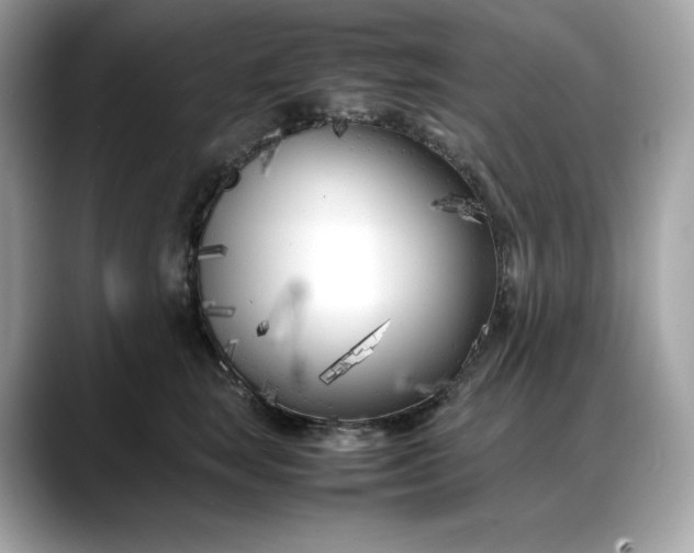 X0000088360663200706051024