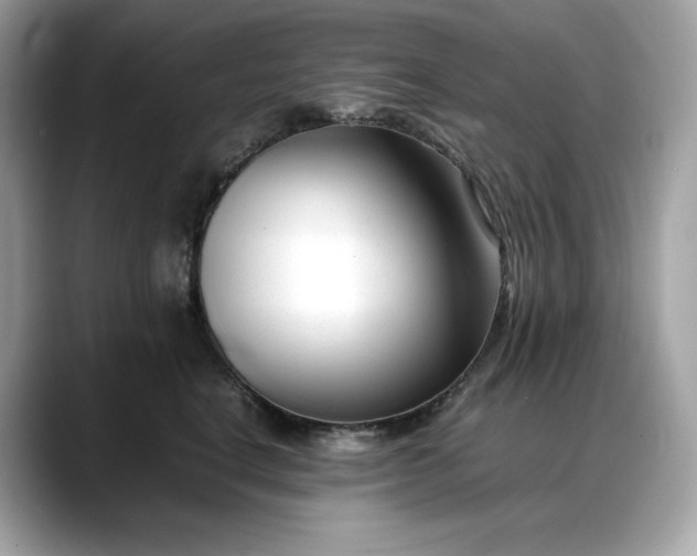 X0000088360664200706051024