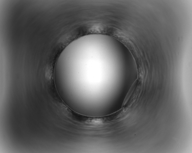 X0000088360665200706051024