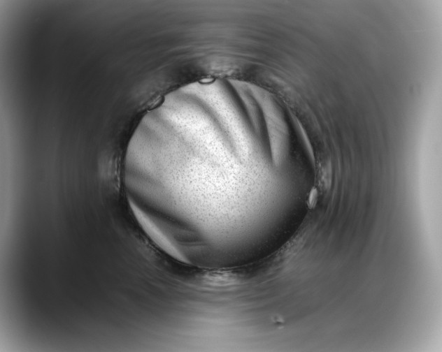 X0000088360666200706051024