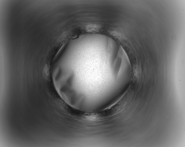 X0000088360667200706051024