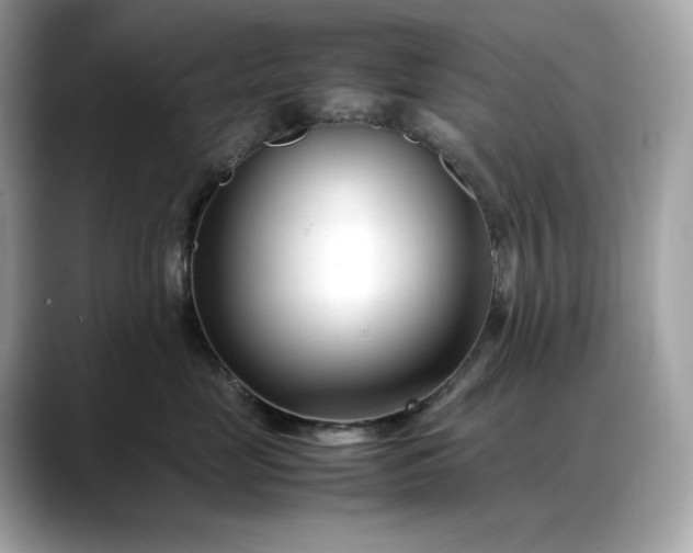 X0000088360669200706051024