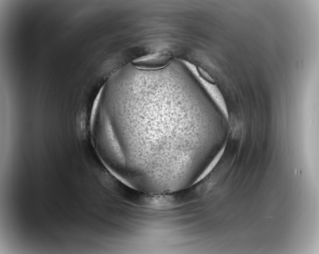 X0000088360670200706051024