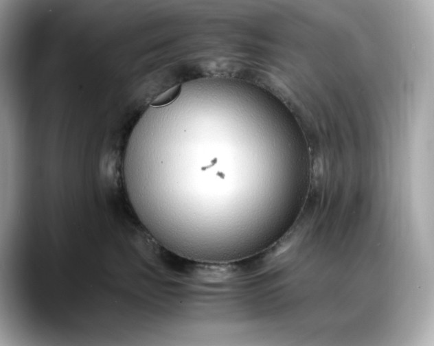 X0000088360671200706051024