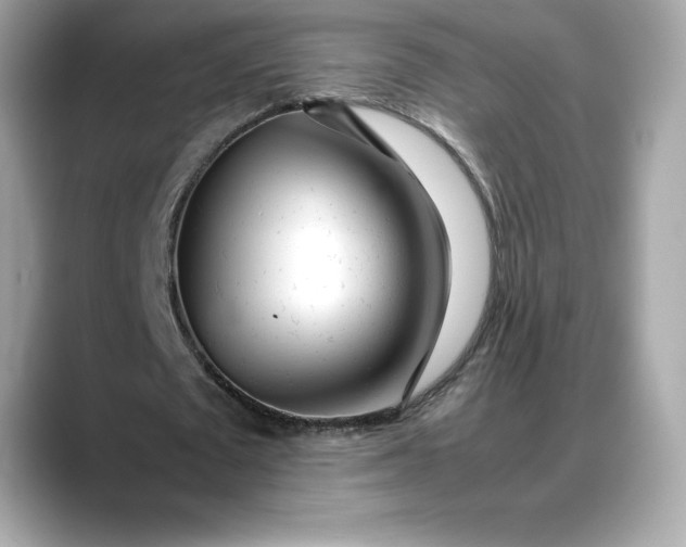 X0000088360673200706051024