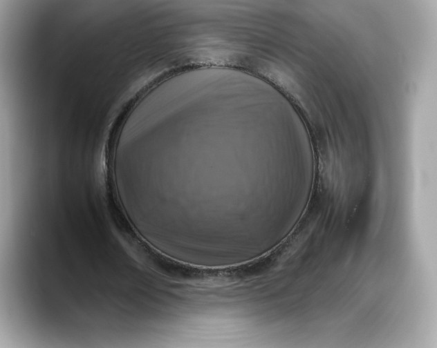 X0000088360674200706051024