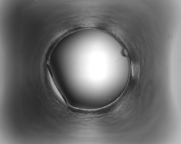 X0000088360675200706051024