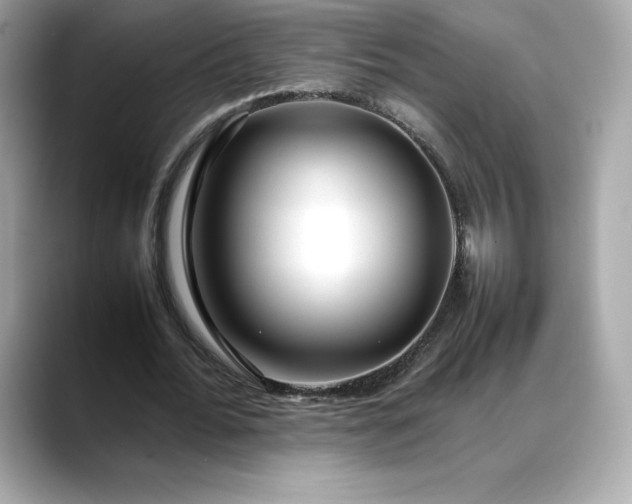 X0000088360676200706051024