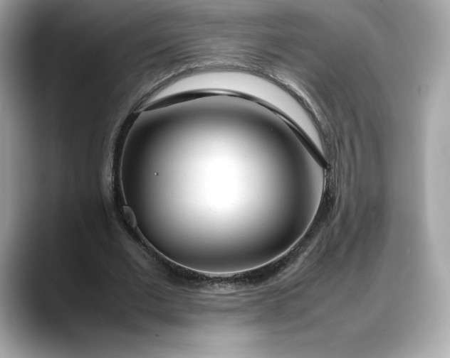 X0000088360677200706051024