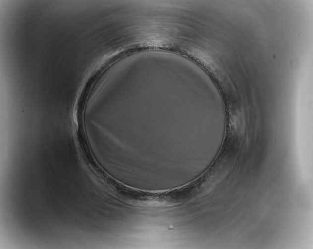 X0000088360678200706051024