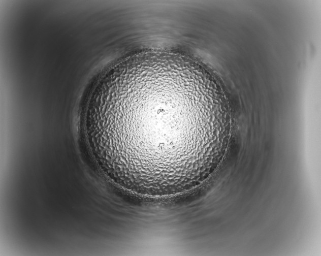 X0000088360679200706051024