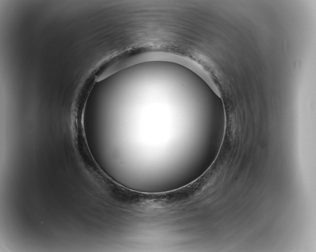 X0000088360680200706051024