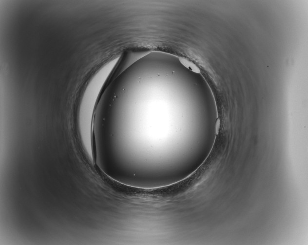 X0000088360681200706051024