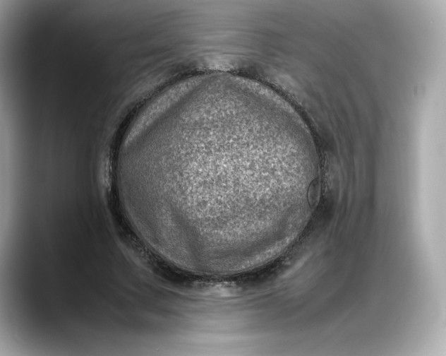 X0000088360683200706051024