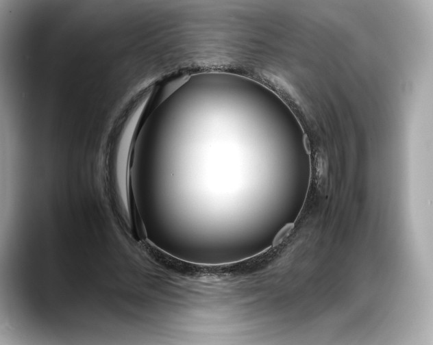 X0000088360684200706051024