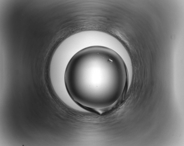 X0000088360685200706051023