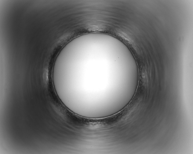 X0000088360686200706051023