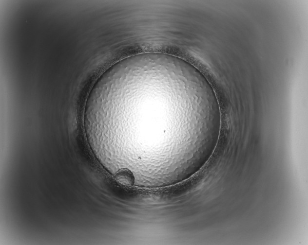 X0000088360687200706051023