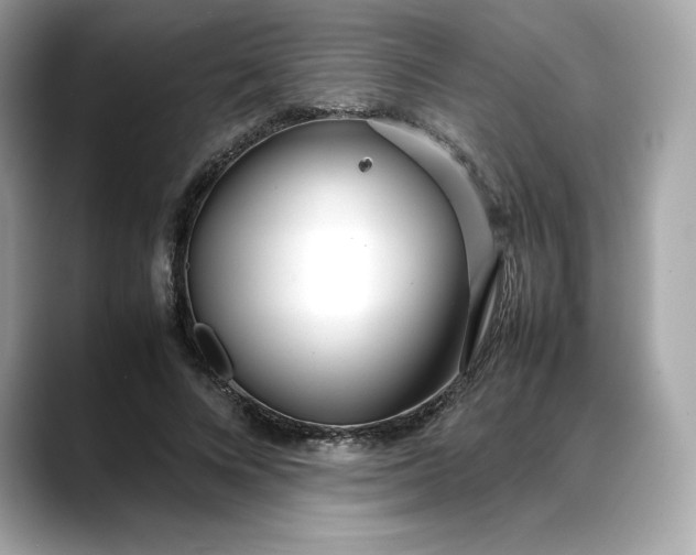 X0000088360688200706051023