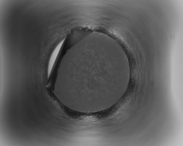 X0000088360689200706051023