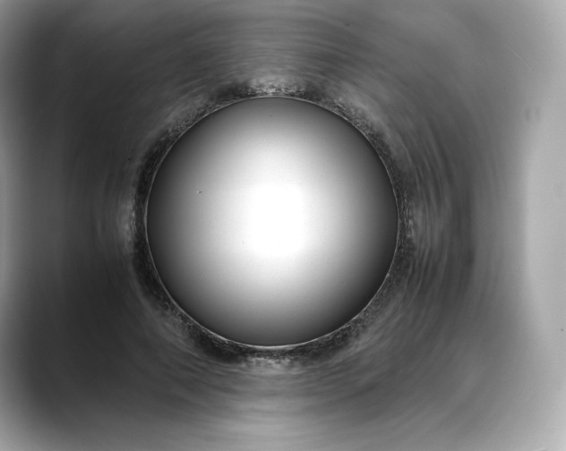 X0000088360690200706051023